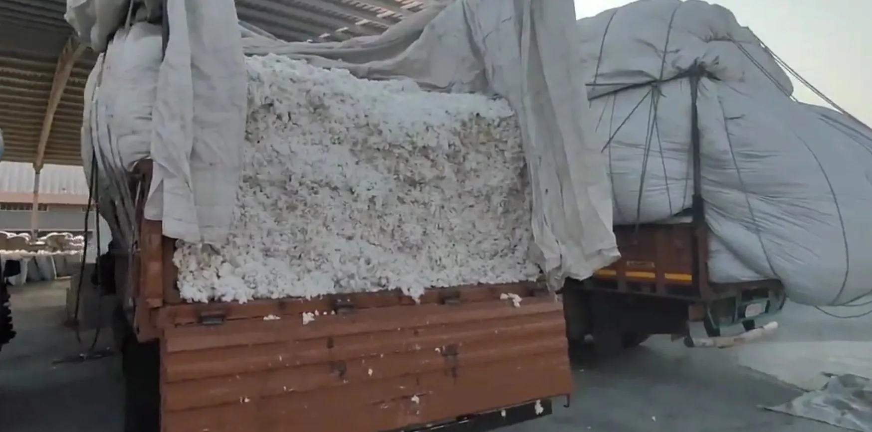 Amreli agriculture market rates 1.jpeg