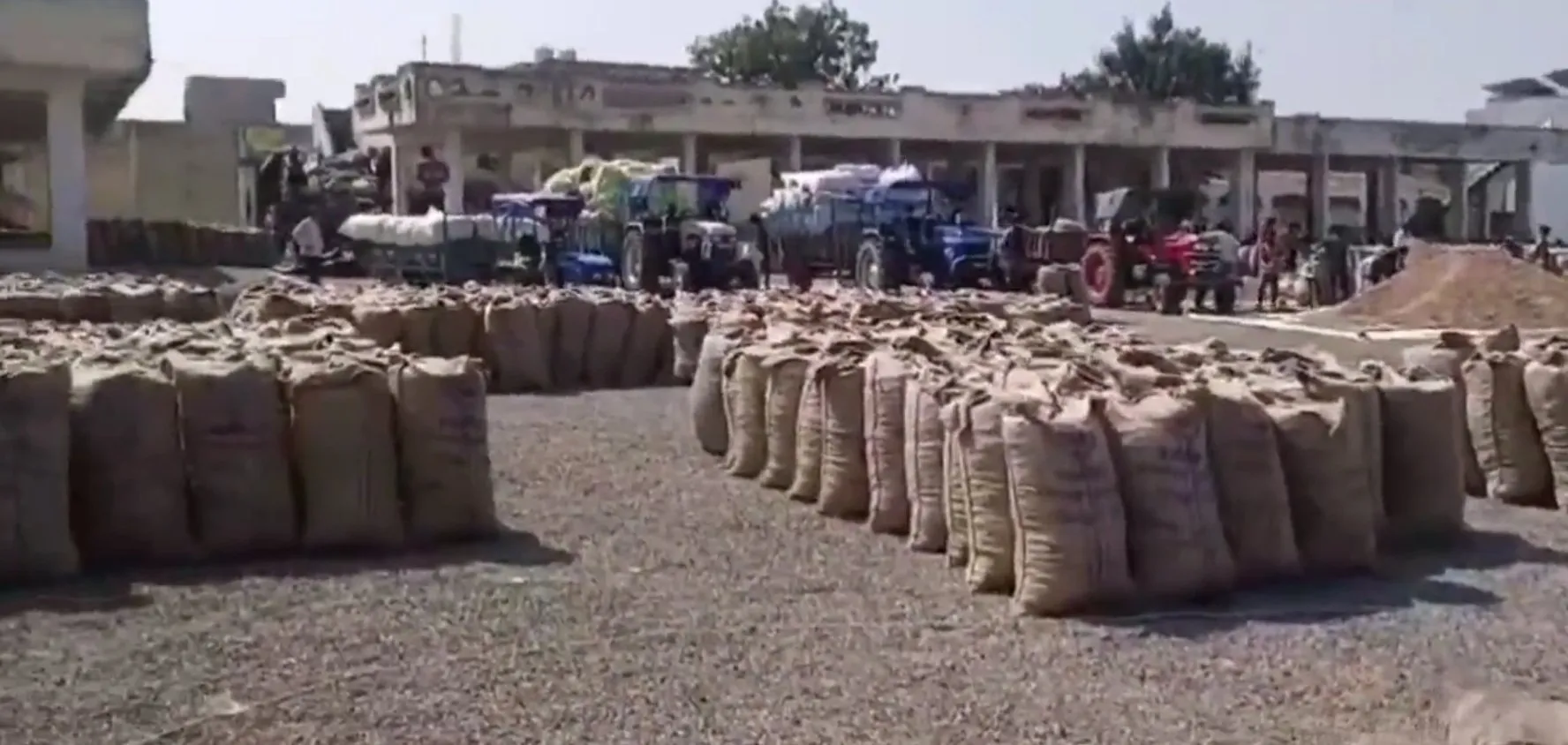 Amreli agriculture market rates 2.jpeg