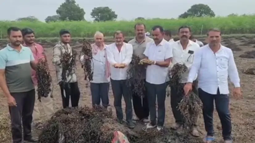 કમોસમી વરસાદ બાદ રાજ્ય સરકારના 10 હજાર કરોડના કૃષિ પેકેજ માટે ઓનલાઈન અરજી શરૂ 2 Agricultural Relief Package 1.png