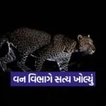 Fake Leopard Video gandhinagar