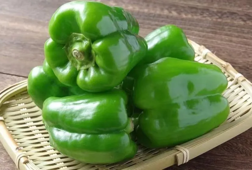 Capsicum Farming Profit 1.png