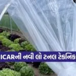 Low Tunnel Vegetable Farming 1