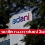 adani