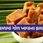 jaggery