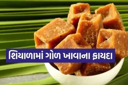jaggery