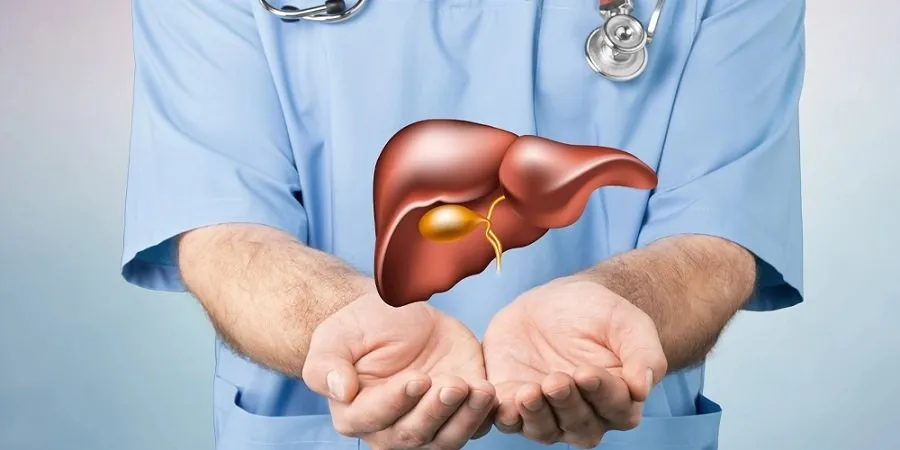શરીરનું 'સૌથી મહેનતુ' અંગ: 5 સરળ જીવનશૈલીમાં ફેરફાર જે લીવર કેન્સરનું જોખમ 50% સુધી ઘટાડી શકે છે! 2 liver.jpg