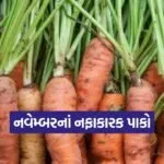 Winter Profit Crops 1