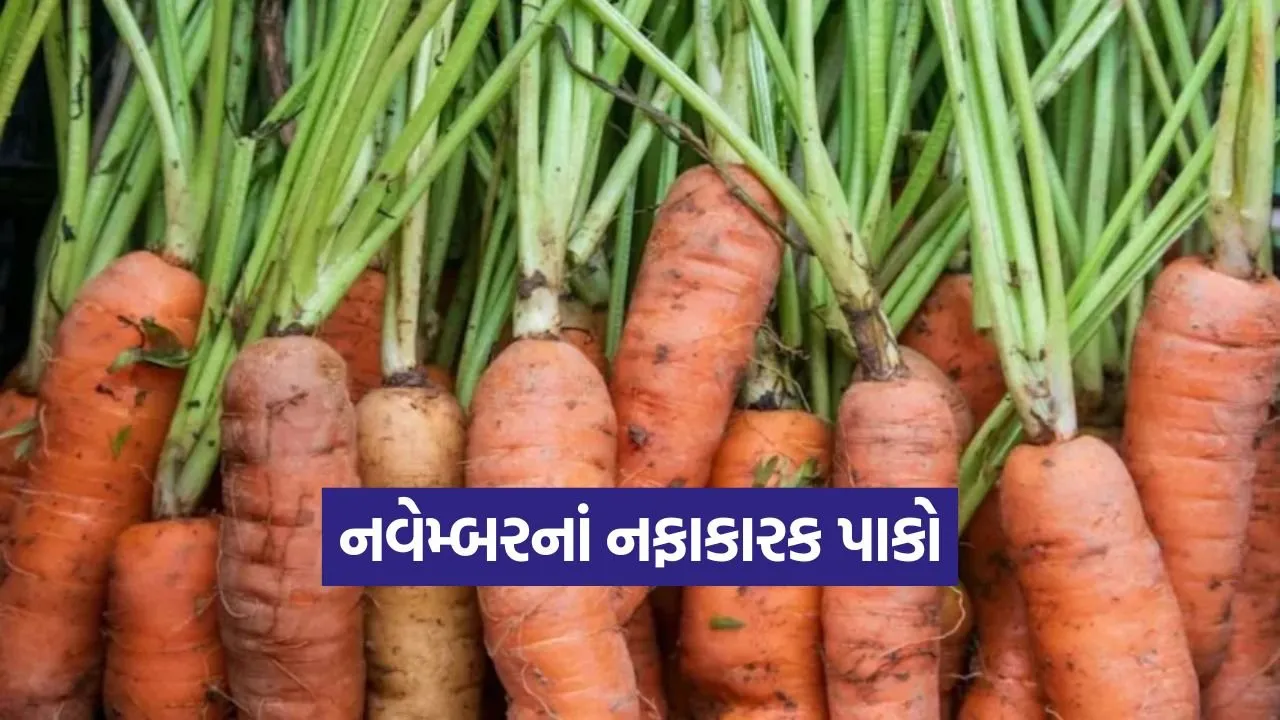 Winter Profit Crops 1.jpg