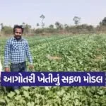Early Crop Cultivation Model 1
