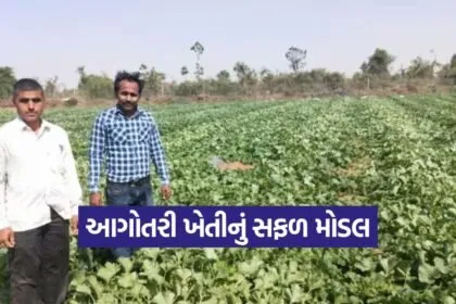 Early Crop Cultivation Model 1