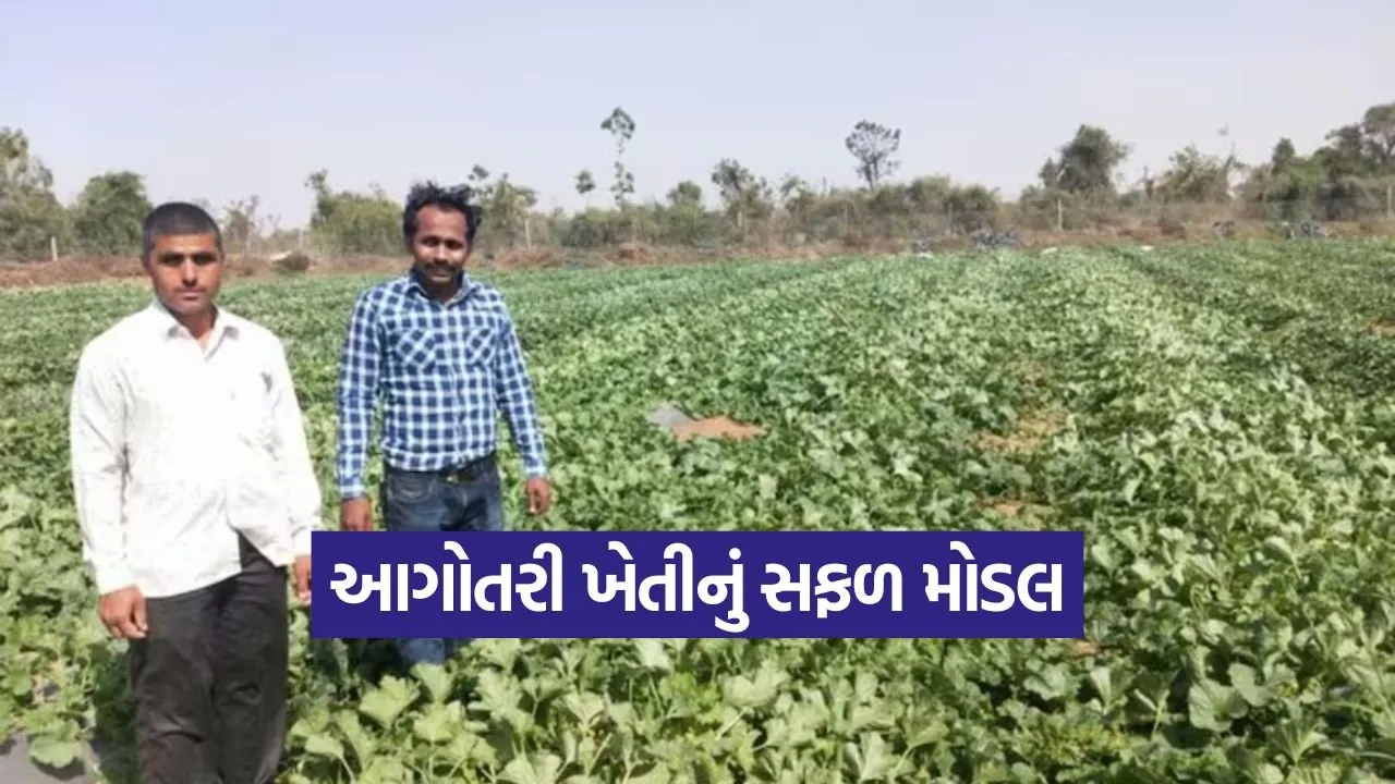 Early Crop Cultivation Model 1.jpg