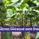 Winter Crop Care 1