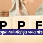 PPF Investment 1