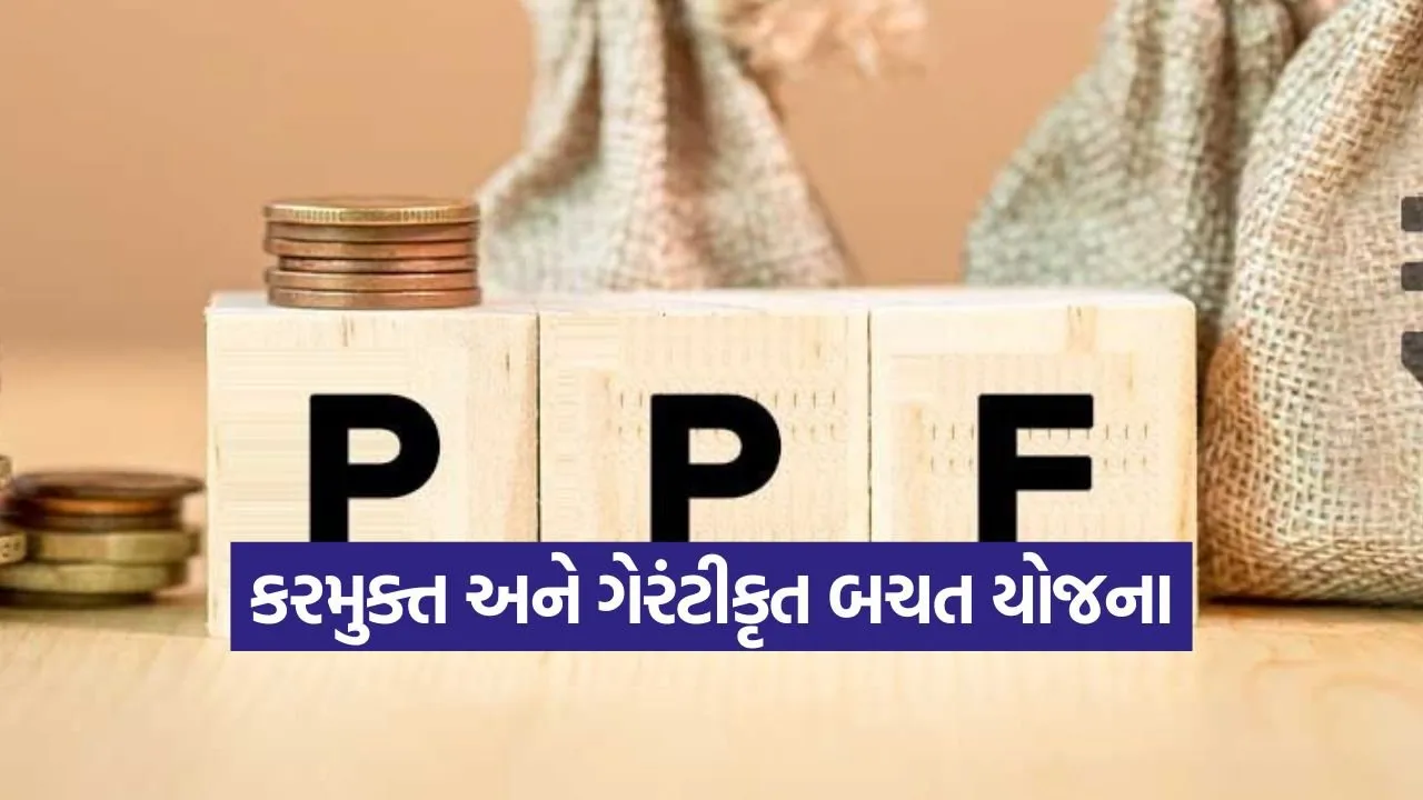 PPF Investment 1.jpg