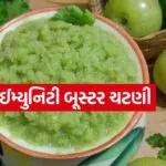 Amla coriander c hutney