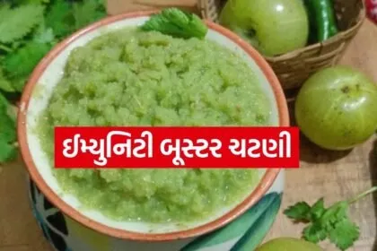 Amla coriander c hutney