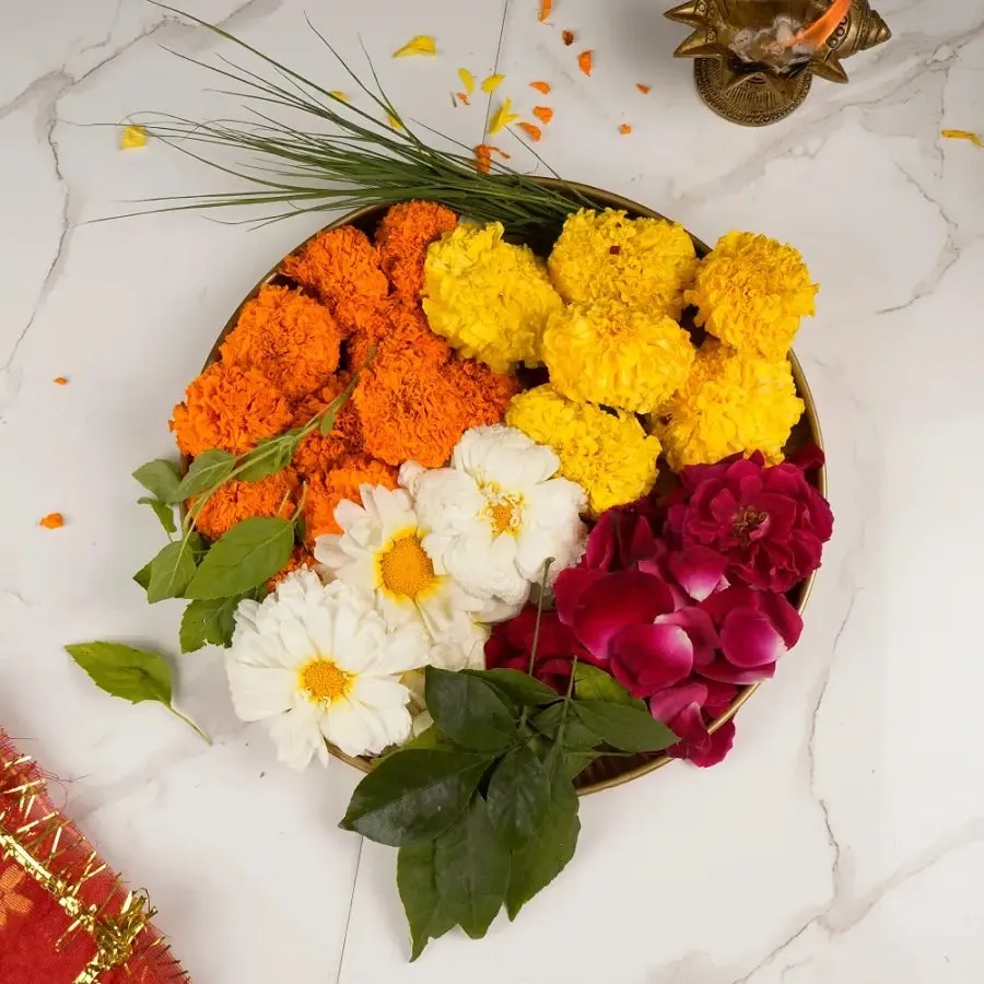 પૂજાના સુકા ફૂલને ફેંકવાના બદલે કરી લો આ ઉપાય, ઘરમાં આવશે સુખ-સમૃદ્ધિ 2 flowers