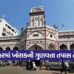 Food Safety Inspection Surat 1