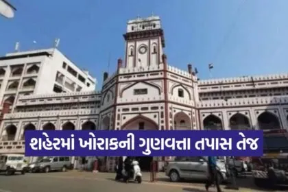 Food Safety Inspection Surat 1