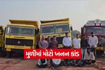 Illegal Mining Crackdown