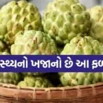 Custard Apple
