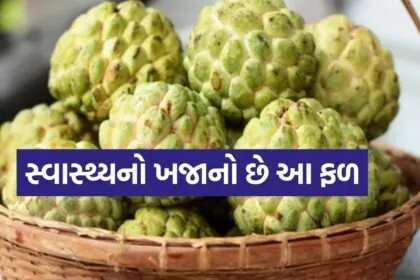 Custard Apple