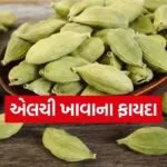 cardamom