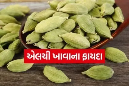 cardamom