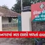 Bhavnagar Murder Mystery 1