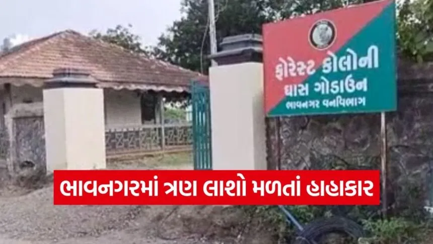 Bhavnagar Murder Mystery 1