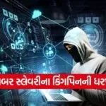 gujarat cyber crime kingpin 1