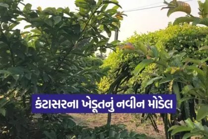 natural farming model 1