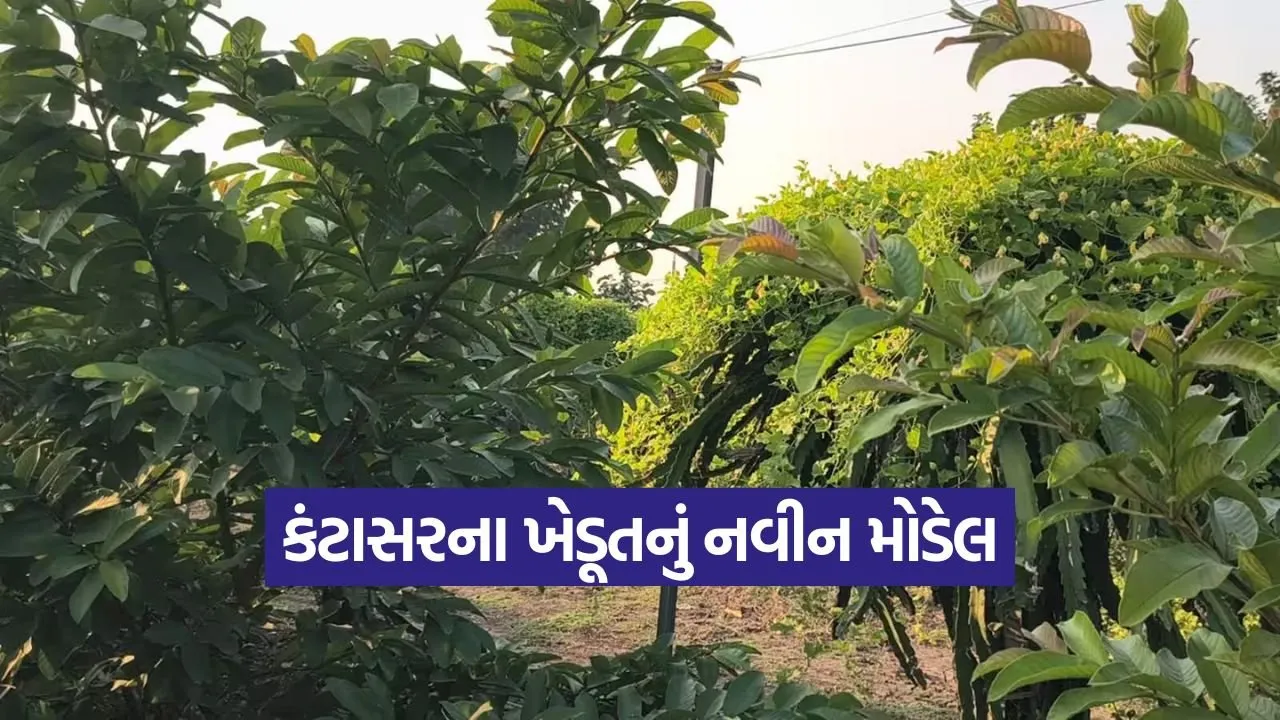 natural farming model 1.jpg