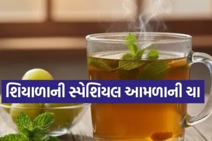 Amla Tea