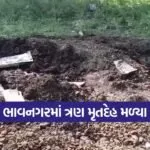 bhavnagar forest officer case 1