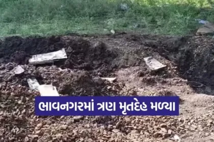 bhavnagar forest officer case 1