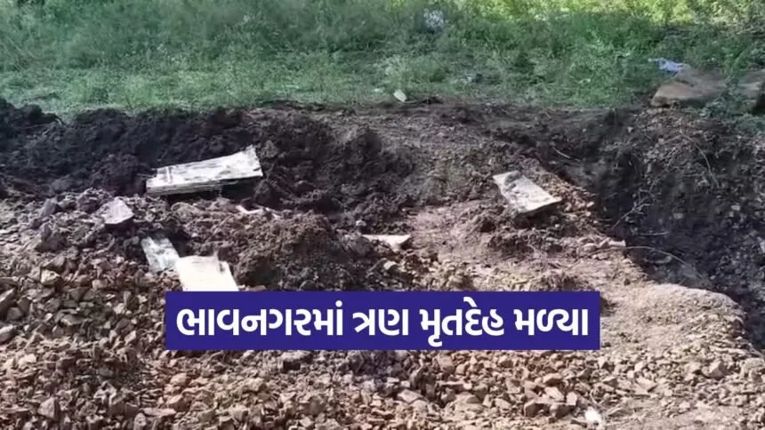 bhavnagar forest officer case 1