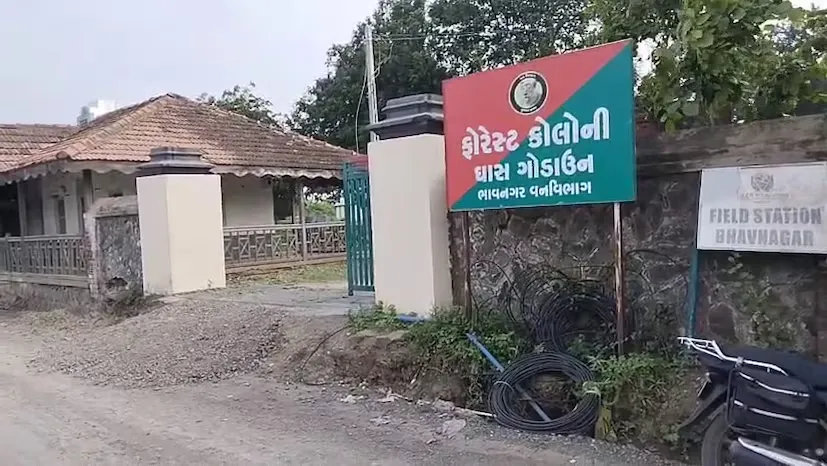 ભાવનગરમાં ફોરેસ્ટ અધિકારીની પત્ની અને સંતાનોના દાટી દેવાયેલા મૃતદેહ મળી આવ્યા 2 bhavnagar forest officer case 2.png