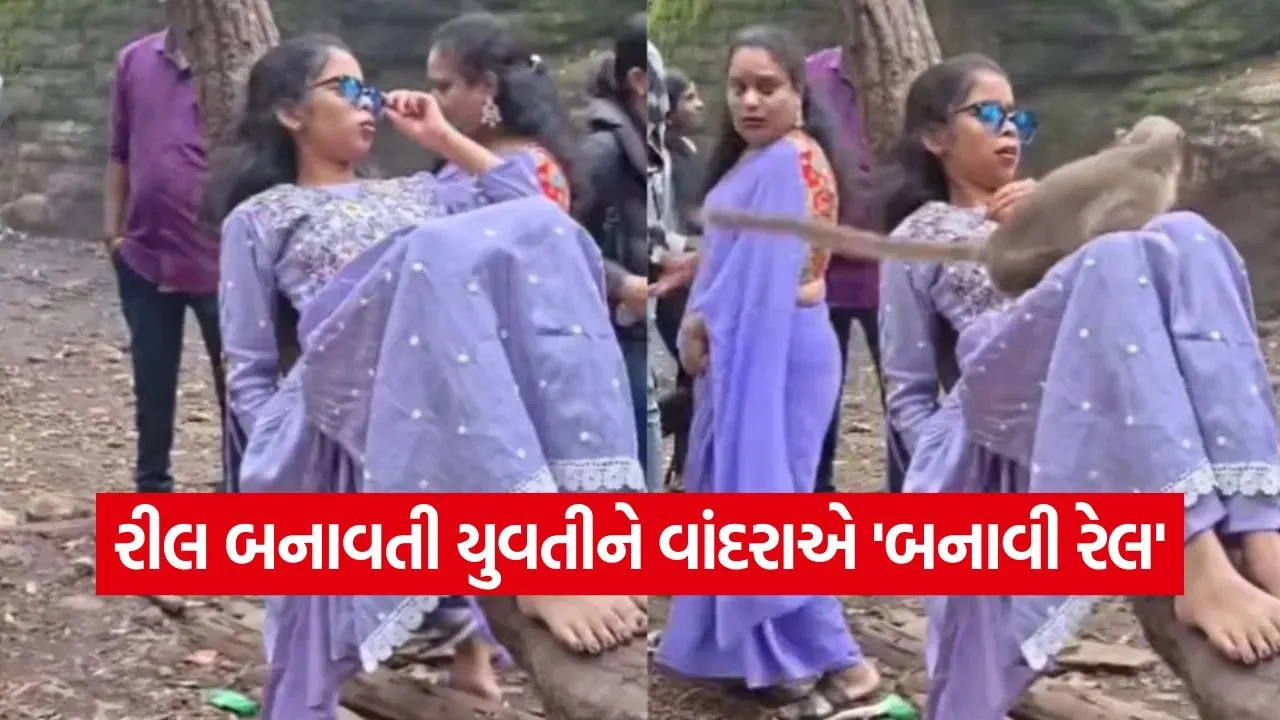 Video: જંગલમાં રીલ બનાવવી ભારે પડી: ઝાડ પર સૂતેલી યુવતીની સામે અચાનક આવી ગયો વાંદરો, પછી શું થયું? 1 reel.jpg