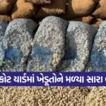 rajkot market rates 1