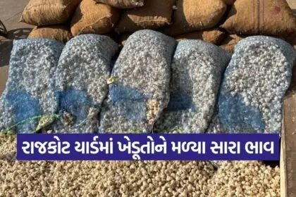 rajkot market rates 1
