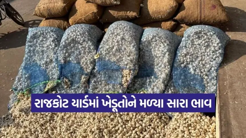 rajkot market rates 1