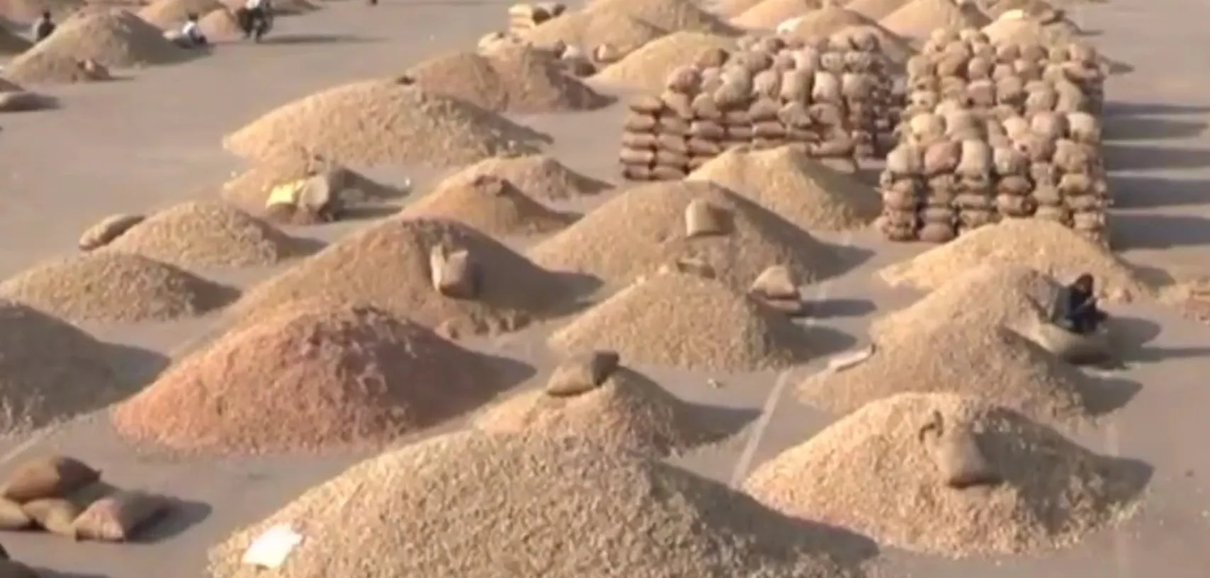 રાજકોટ માર્કેટ યાર્ડમાં વિવિધ પાકની મોટા પાયે આવક, ખેડૂતોને મળ્યાં સંતોષકારક બજાર ભાવ 3 rajkot market rates 1.jpeg