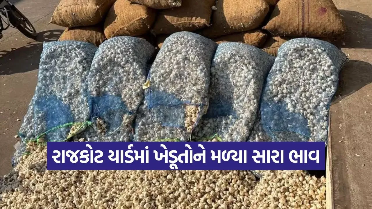 rajkot market rates 1.jpg