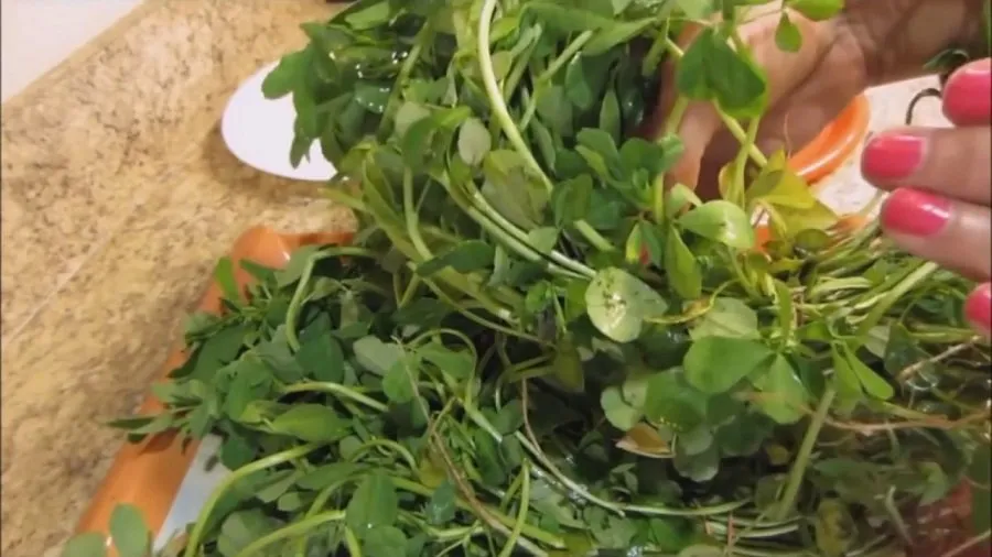 મેથી ધોવામાં આવતી માટી અને રેતીથી પરેશાન છો? આ ટ્રિક અપનાવો 2 meethi.jpg