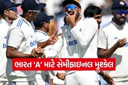cricket43