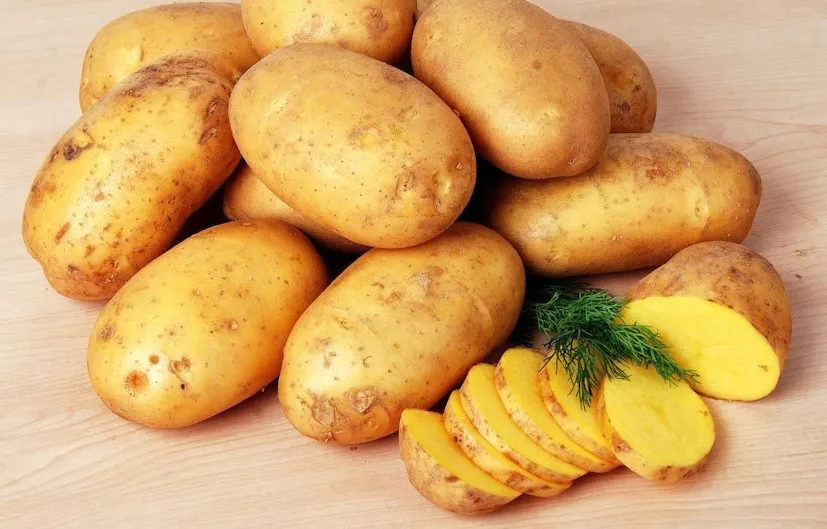 potato cultivation varieties 2.png