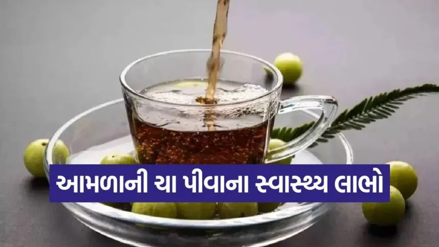 amla 1