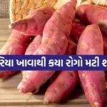 Sweet Potato