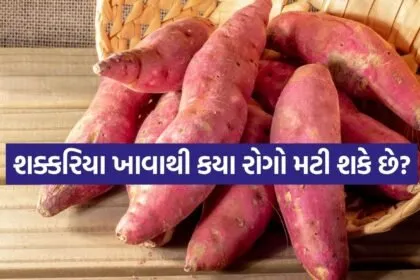 Sweet Potato